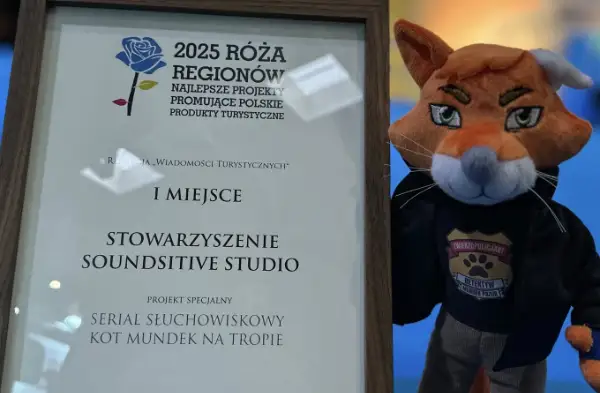 Nagrody i wyróżnienia dla Soundsitive Studio